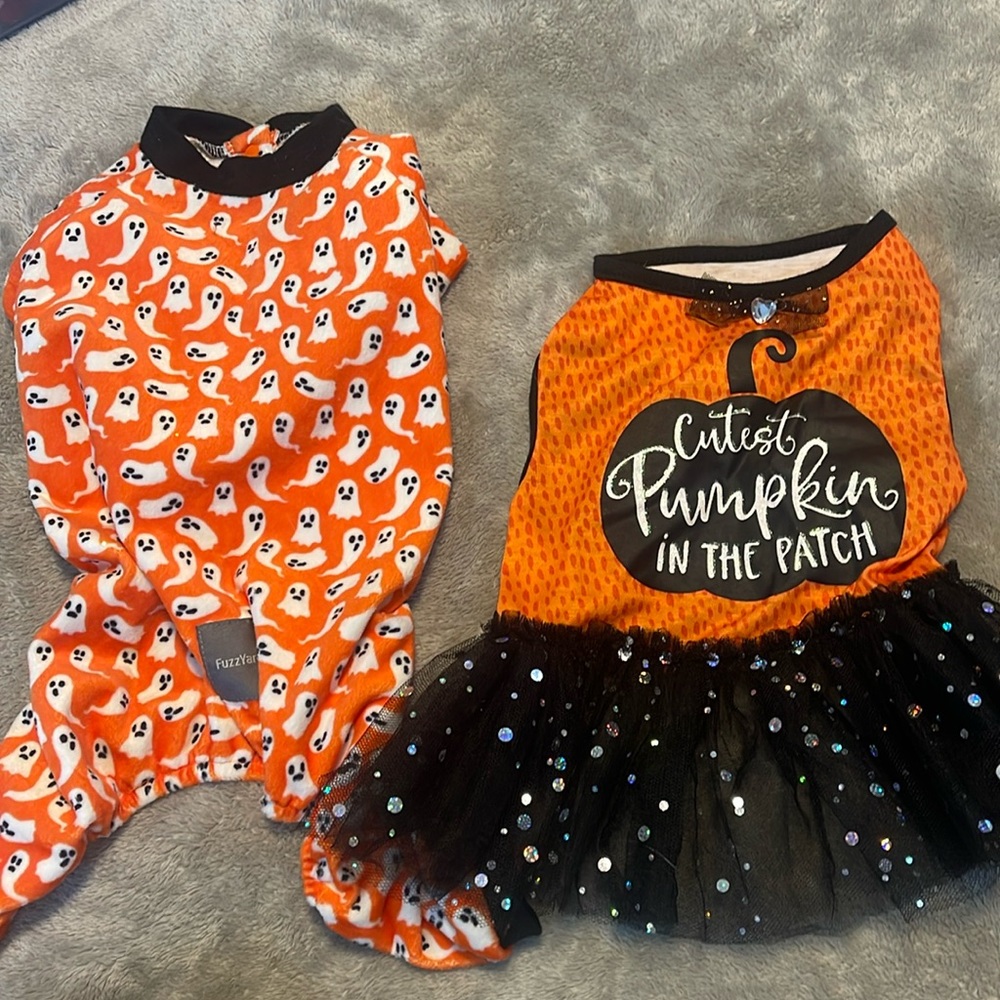 Halloween dog outfits